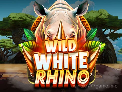 Wild White Rhino